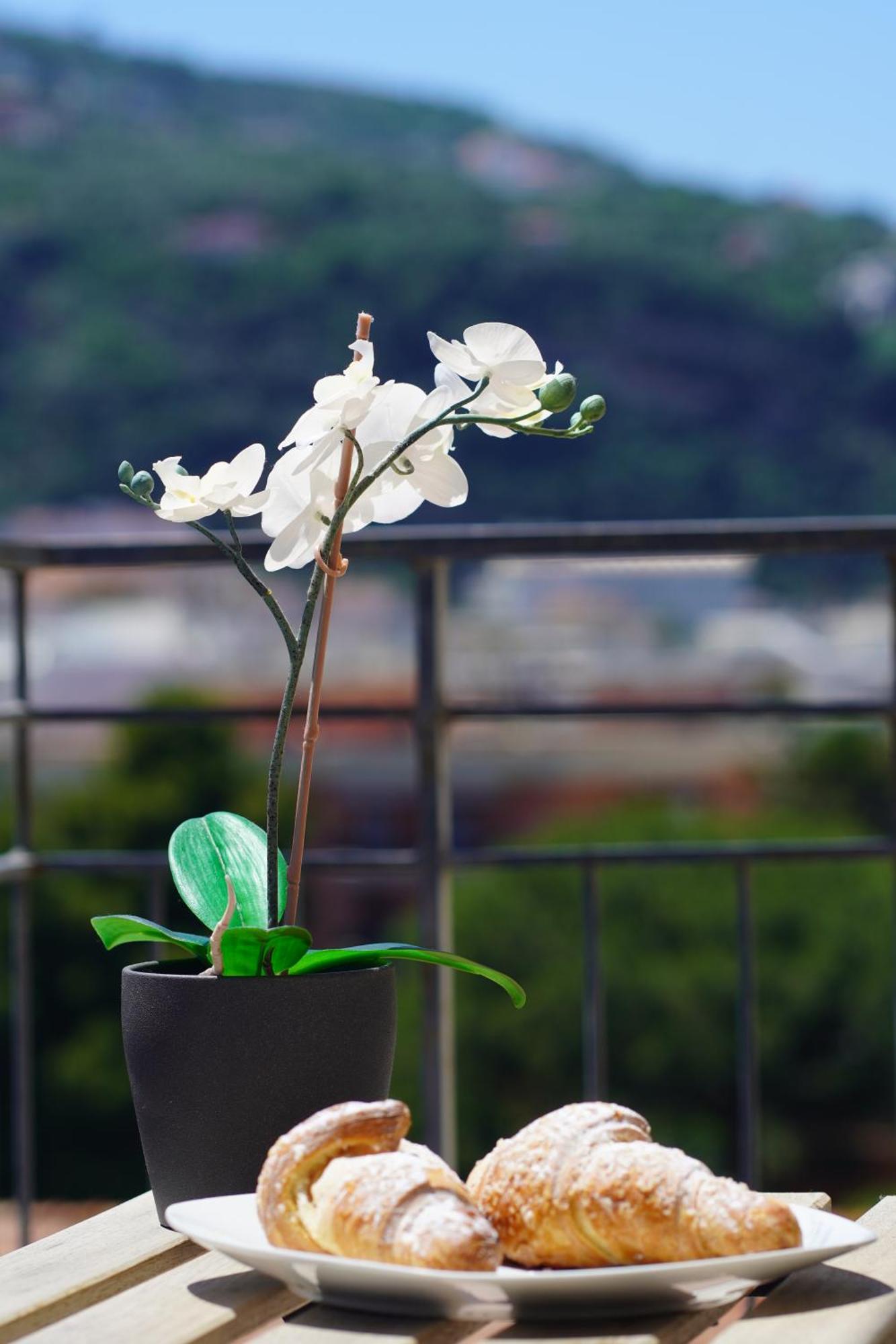 Casa Nelida, Sorrento Centre Apartman Kültér fotó